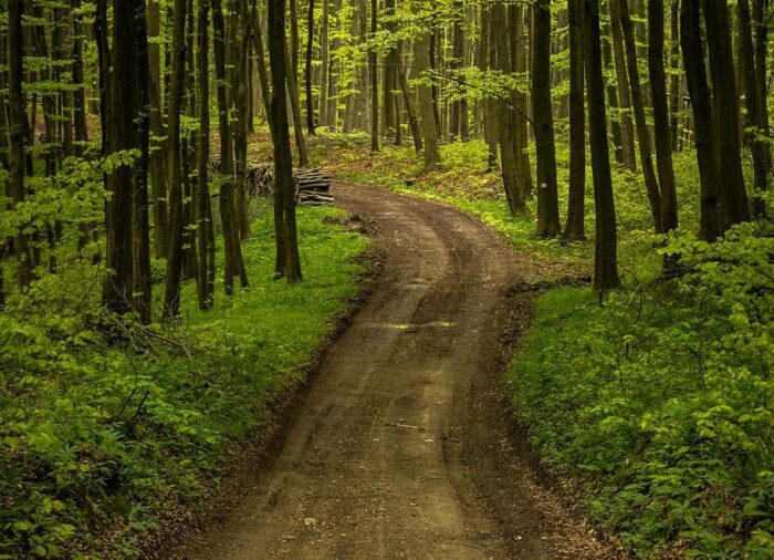 Kirándulás a Bakony szívében: karsztcsodák és porcelánművészet