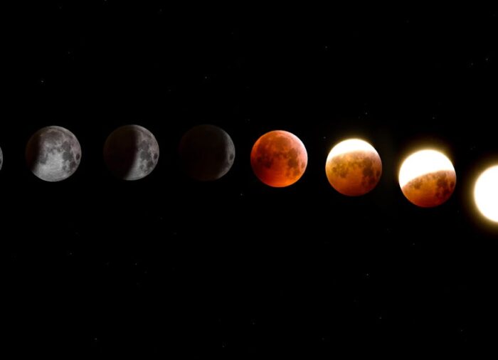 A Kos útja: Az önérvényesítés művészete