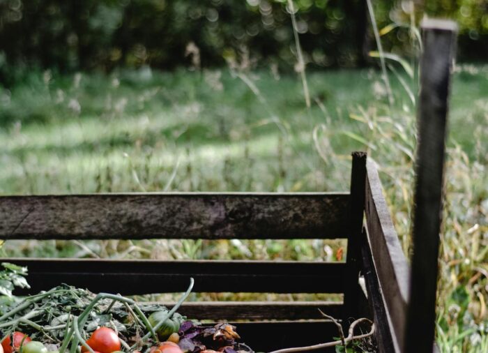 Komposztálás otthon: kezdőknek is egyszerűen