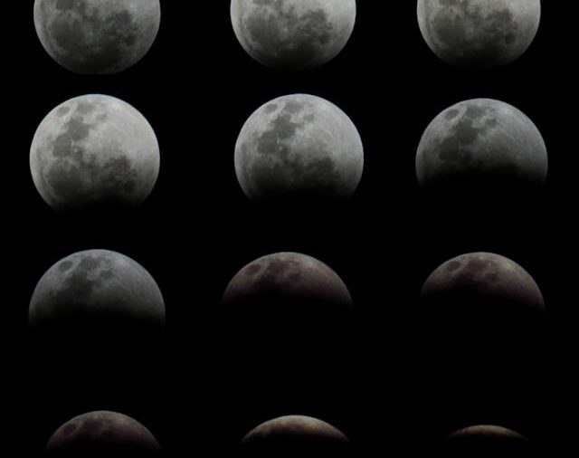 A Bika napjegy útja: Az élet élvezete