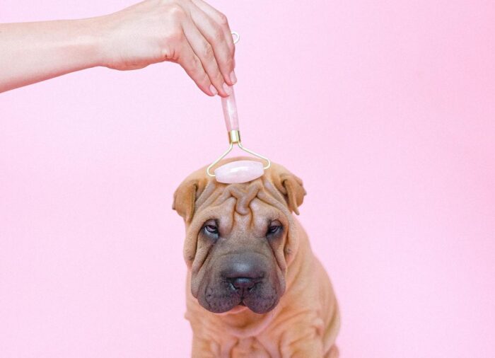 Szem alatti ráncok eltüntetése: mit tehetünk a finom ráncok ellen?