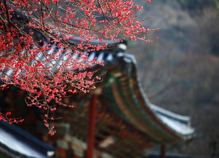 Múzeum Guide: Szöul kulturális kincsei